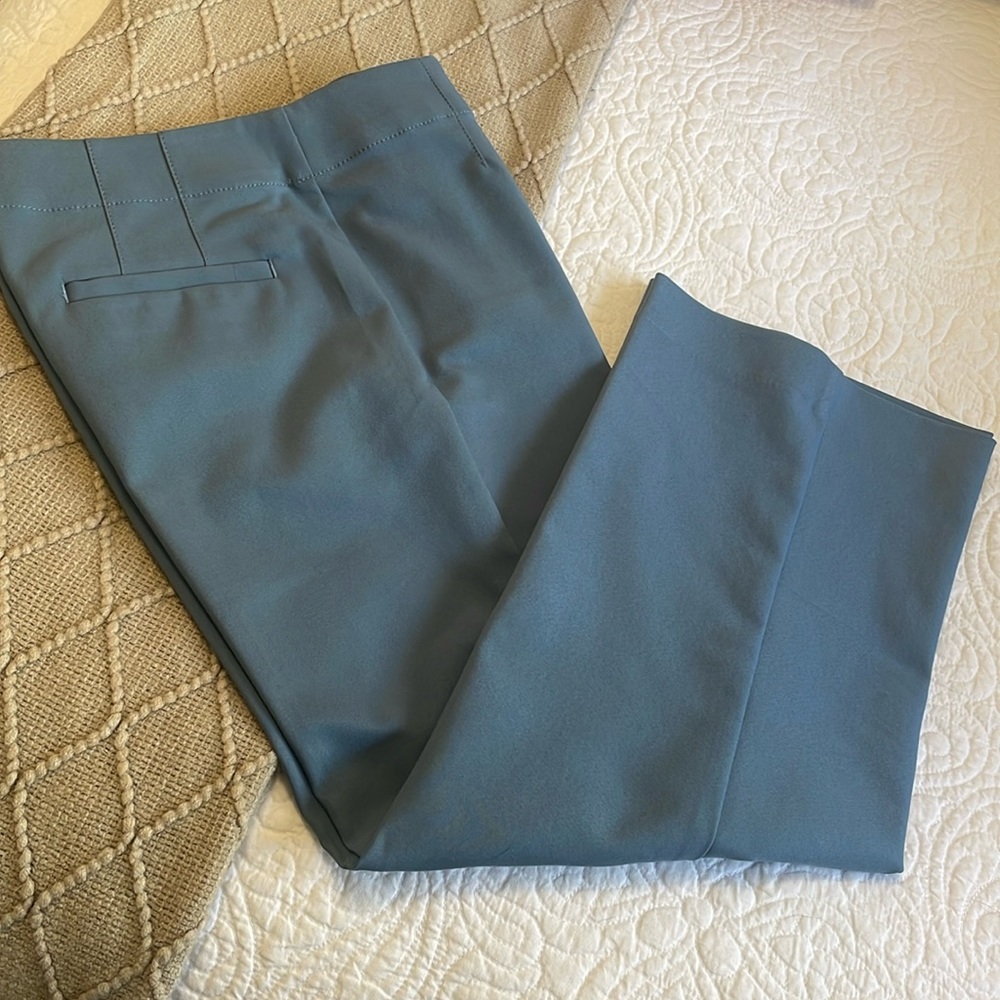 Blue LOFT pants